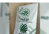 Curso de Bordado em Nova Canaã Paulista, desenvolvido pela professora Avelina.