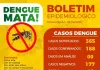 Acompanhe os dados mais recentes sobre os casos de dengue e COVID-19 em nossa região.